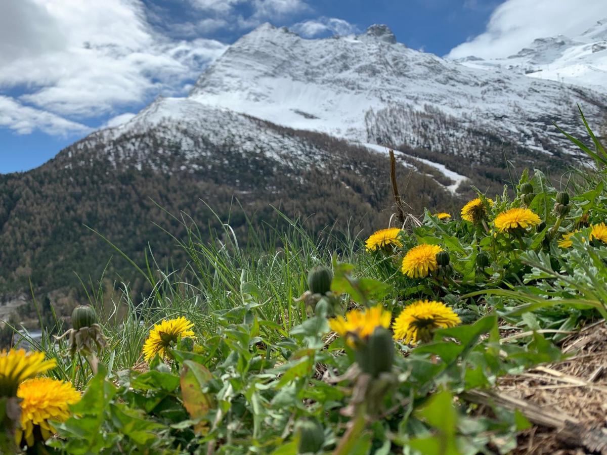 Chalet Birkhahn Saas-Fee Luaran gambar