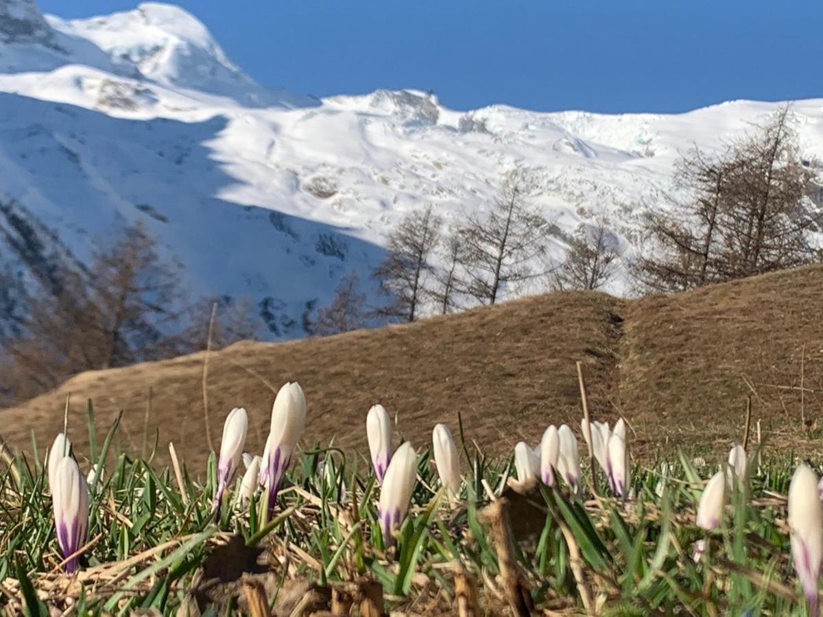 Chalet Birkhahn Saas-Fee Luaran gambar