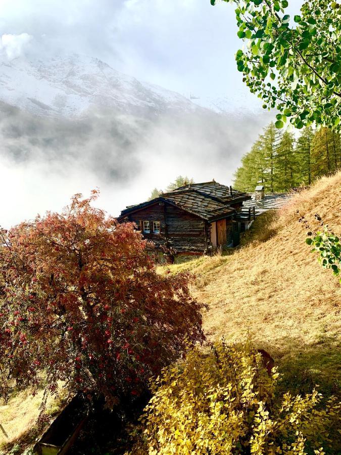 Chalet Birkhahn Saas-Fee Luaran gambar