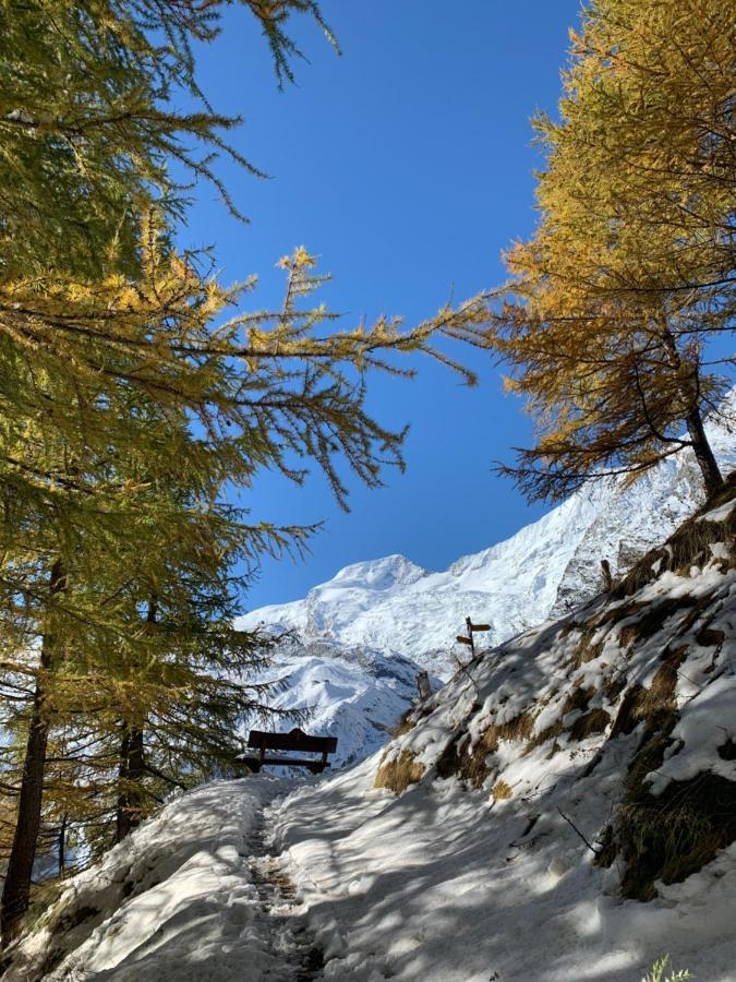 Chalet Birkhahn Saas-Fee Luaran gambar