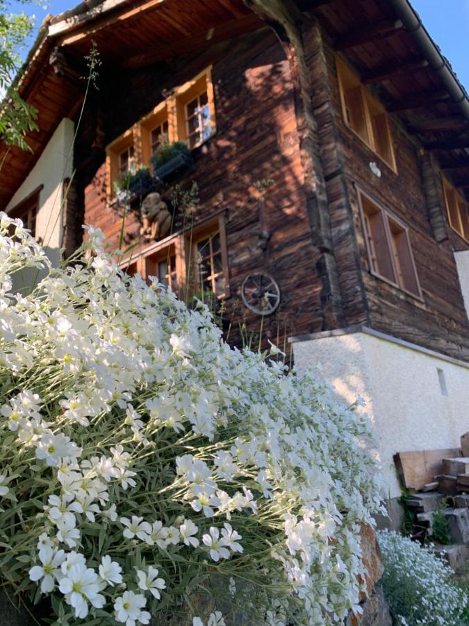 Chalet Birkhahn Saas-Fee Luaran gambar